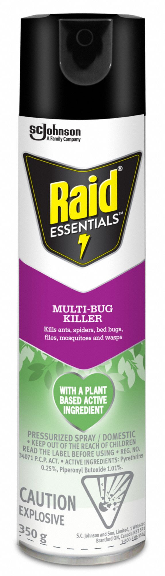 Raid Essentials Multi Bug Killer, 350 g